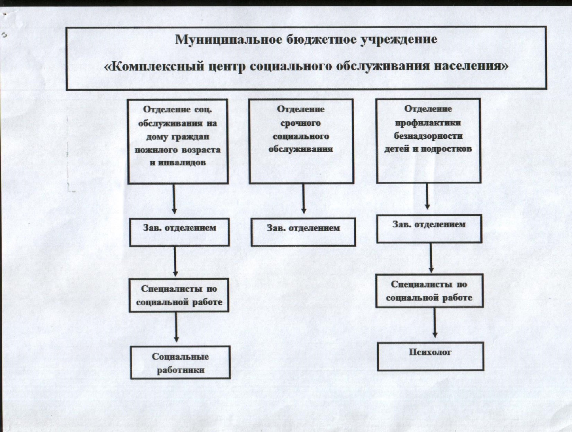 Структура организации